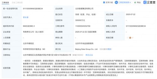 北京數(shù)據(jù)集團(tuán)正式揭牌成立，為數(shù)據(jù)處理服務(wù)注入新動(dòng)力